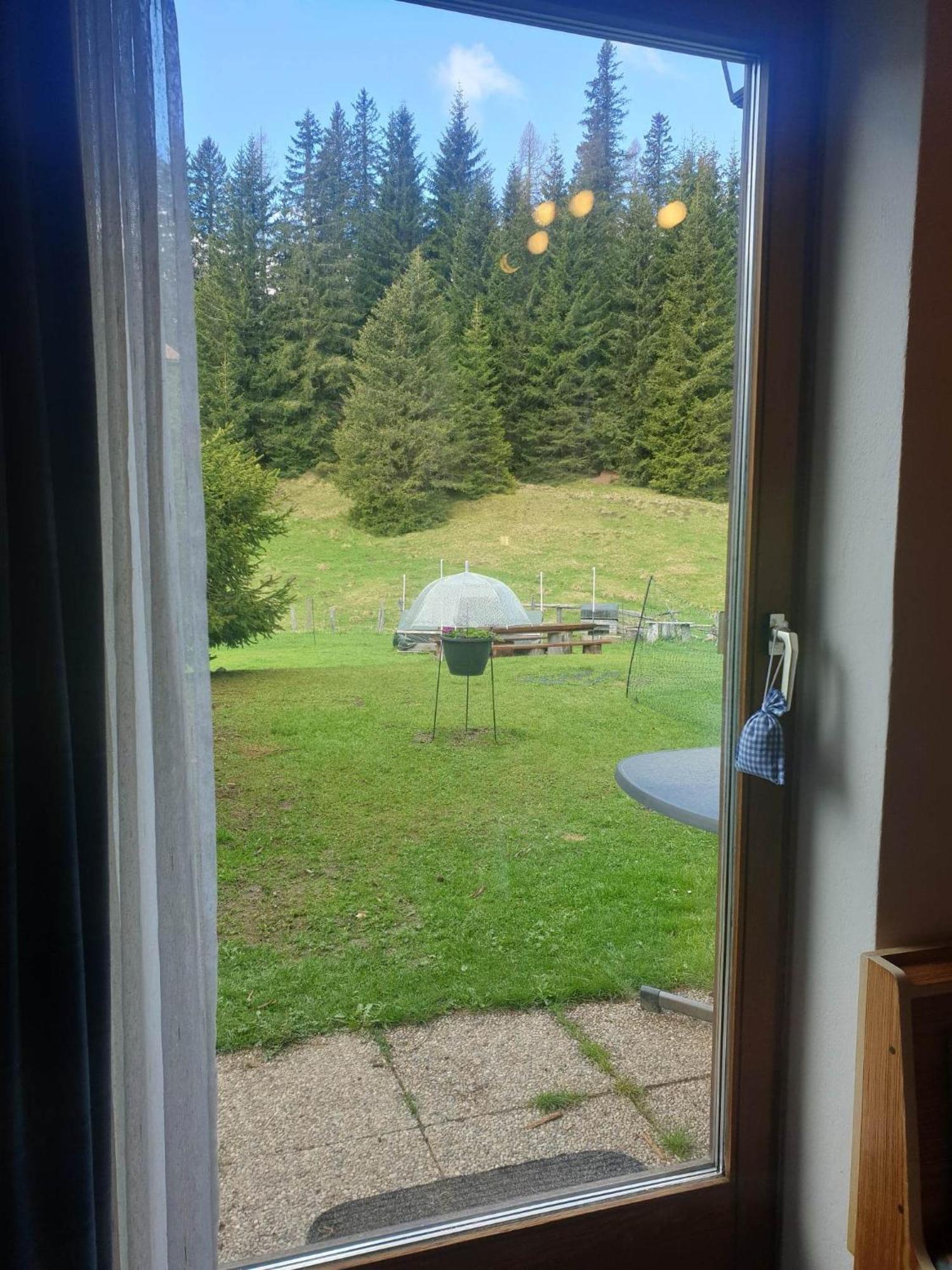 Ferienhaus Schaefer - Apartments - Wintersports - Family Holiday - Holiday With Your Dog - Rural & Scenic Flattnitz 外观 照片