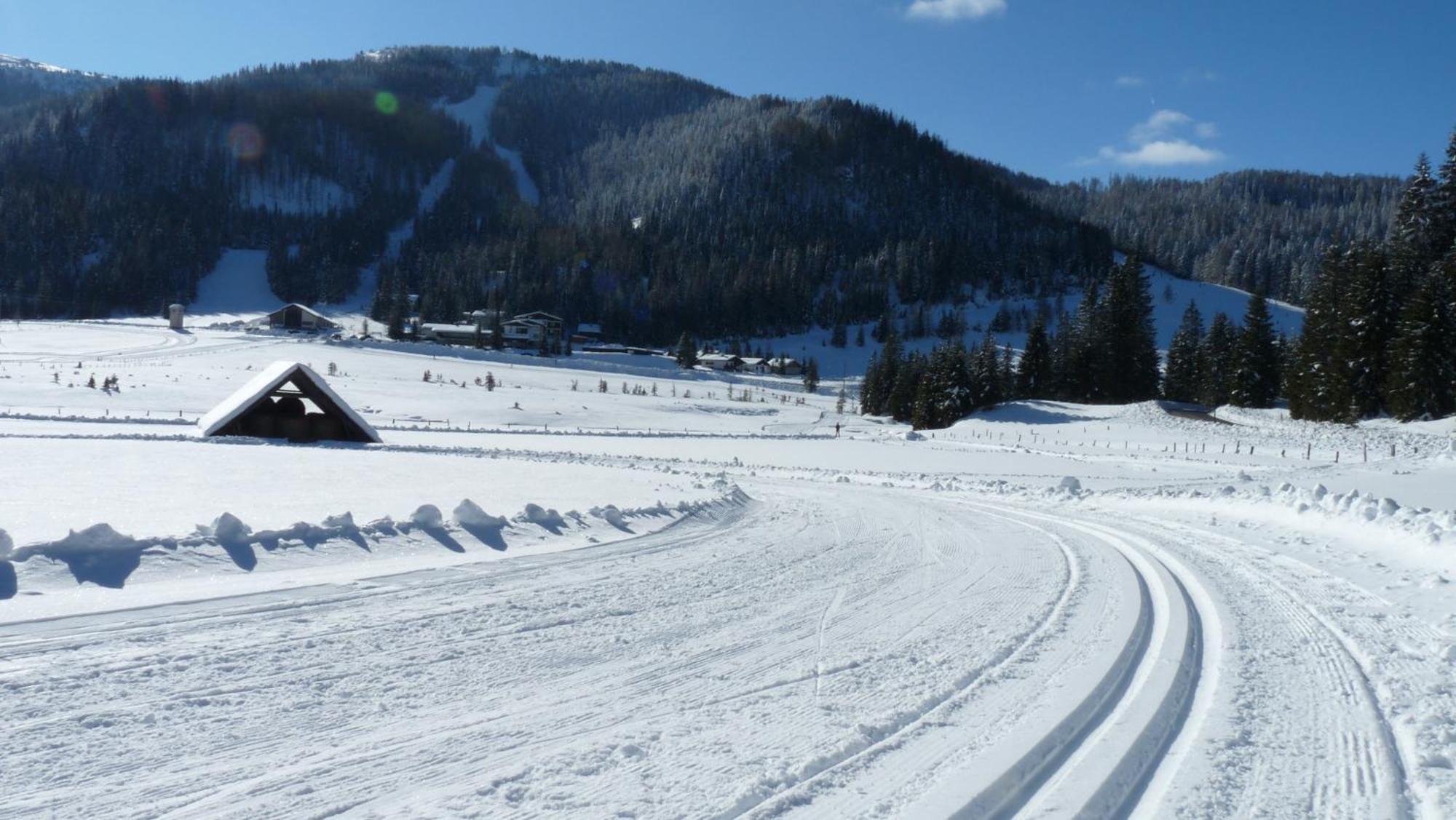 Ferienhaus Schaefer - Apartments - Wintersports - Family Holiday - Holiday With Your Dog - Rural & Scenic Flattnitz 外观 照片