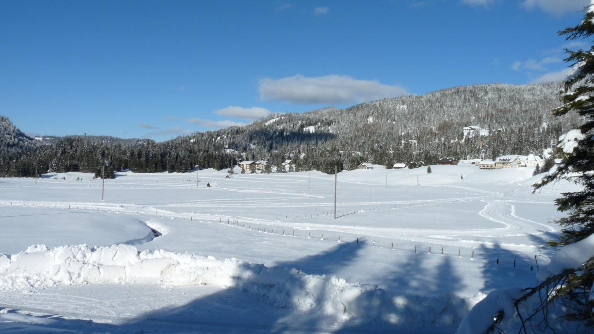 Ferienhaus Schaefer - Apartments - Wintersports - Family Holiday - Holiday With Your Dog - Rural & Scenic Flattnitz 外观 照片