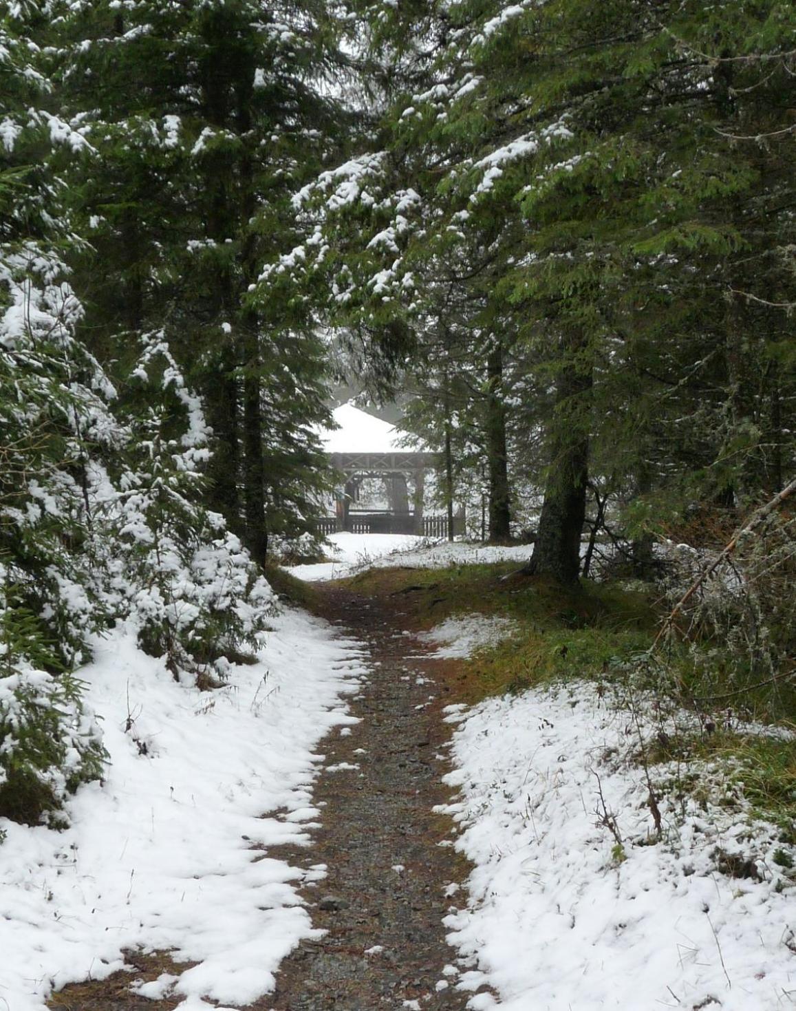 Ferienhaus Schaefer - Apartments - Wintersports - Family Holiday - Holiday With Your Dog - Rural & Scenic Flattnitz 外观 照片