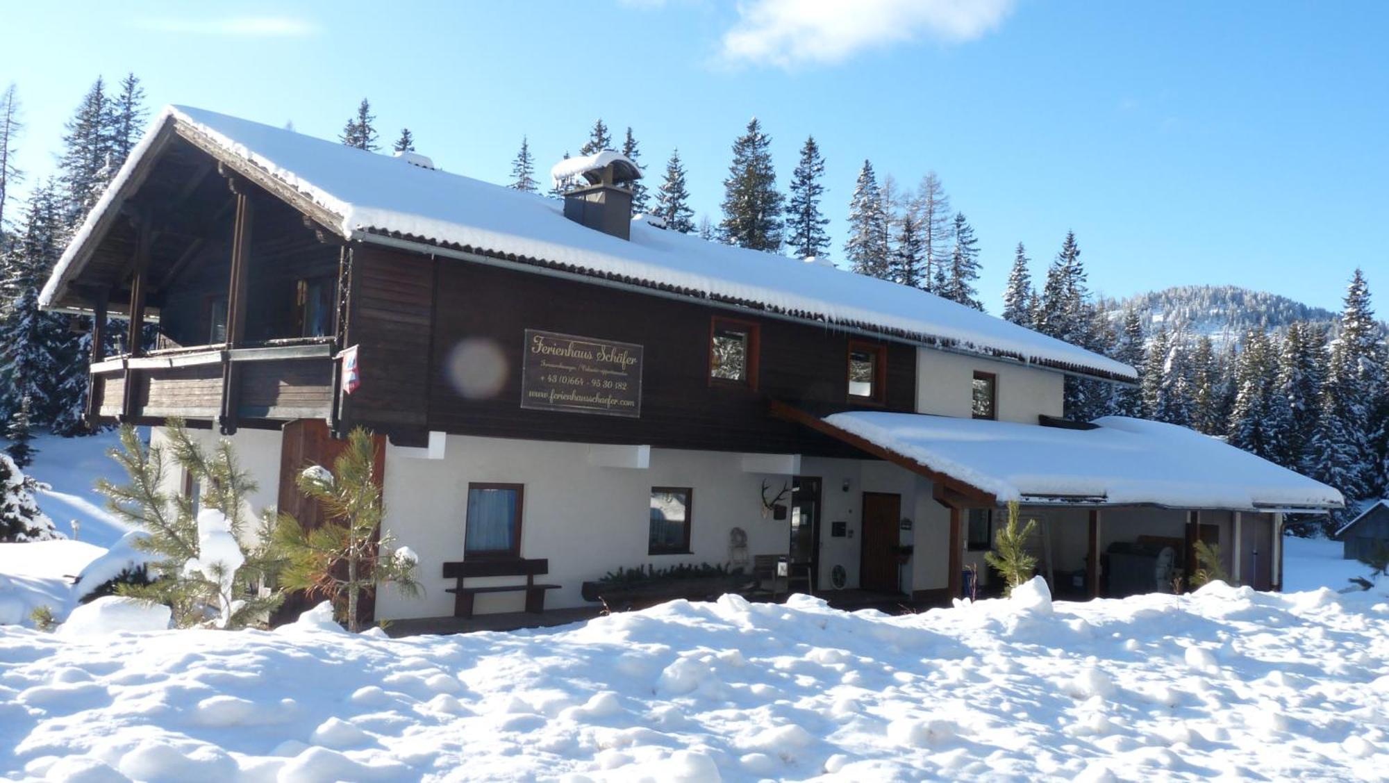 Ferienhaus Schaefer - Apartments - Wintersports - Family Holiday - Holiday With Your Dog - Rural & Scenic Flattnitz 外观 照片