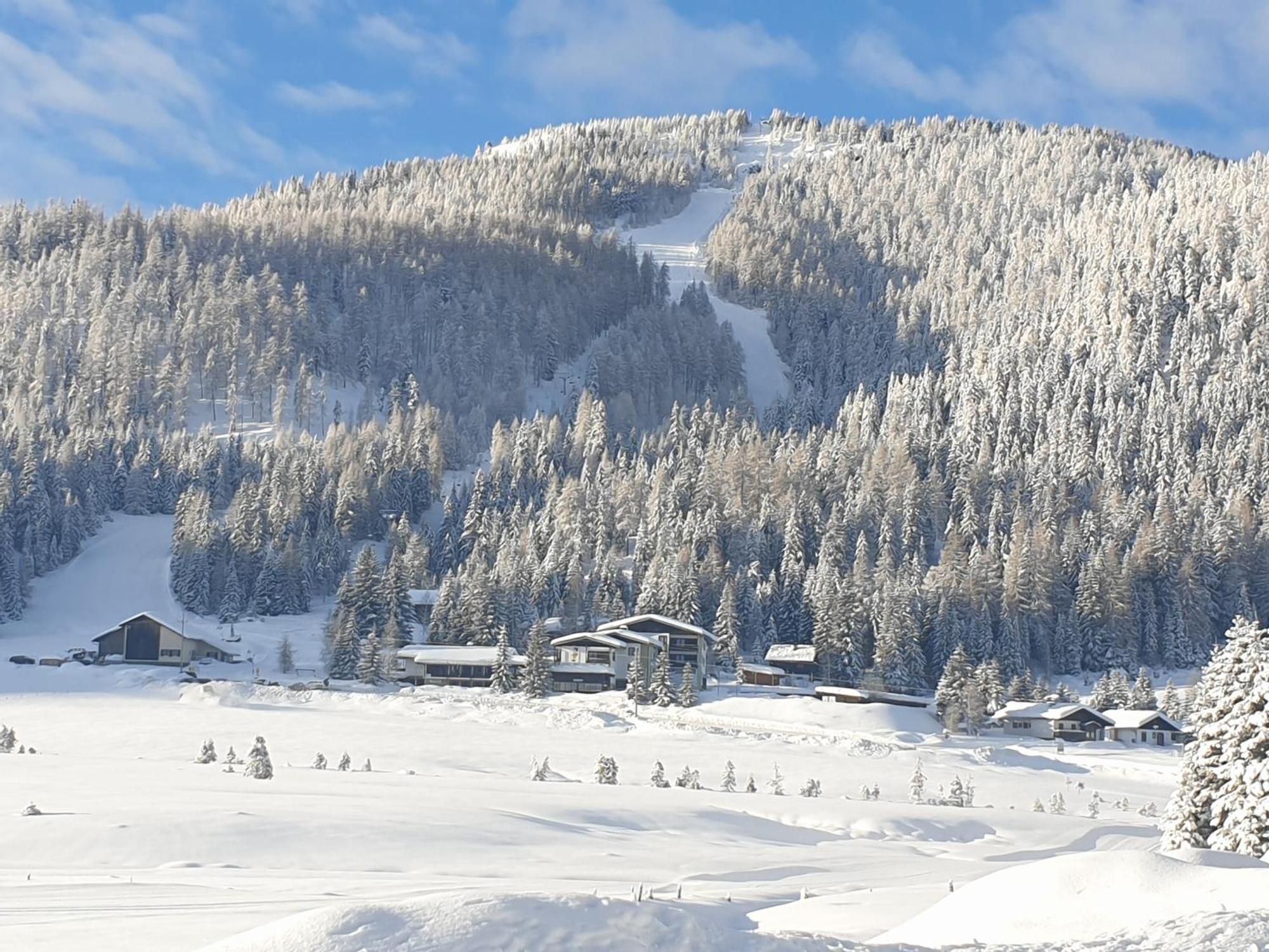 Ferienhaus Schaefer - Apartments - Wintersports - Family Holiday - Holiday With Your Dog - Rural & Scenic Flattnitz 外观 照片