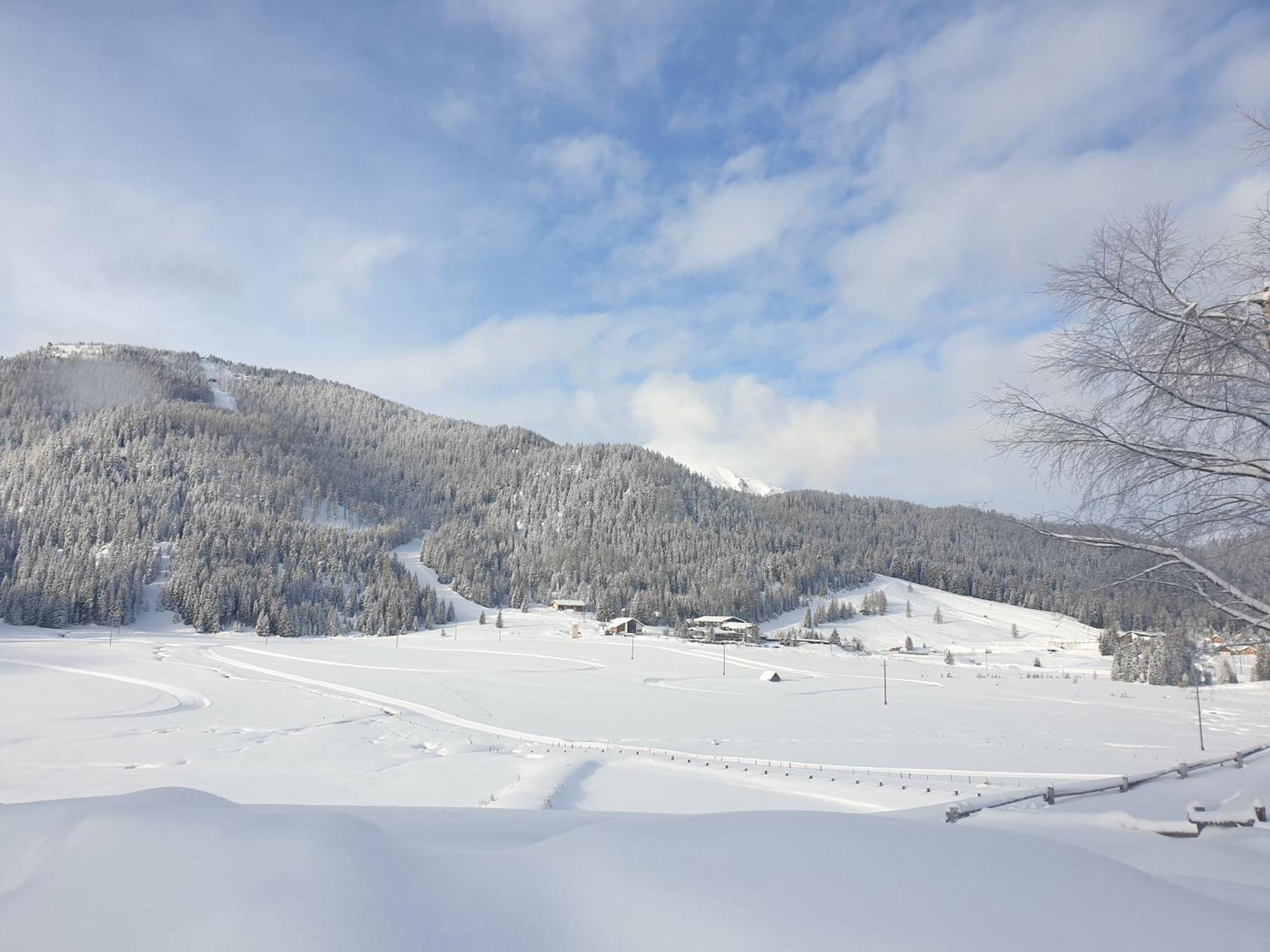 Ferienhaus Schaefer - Apartments - Wintersports - Family Holiday - Holiday With Your Dog - Rural & Scenic Flattnitz 外观 照片