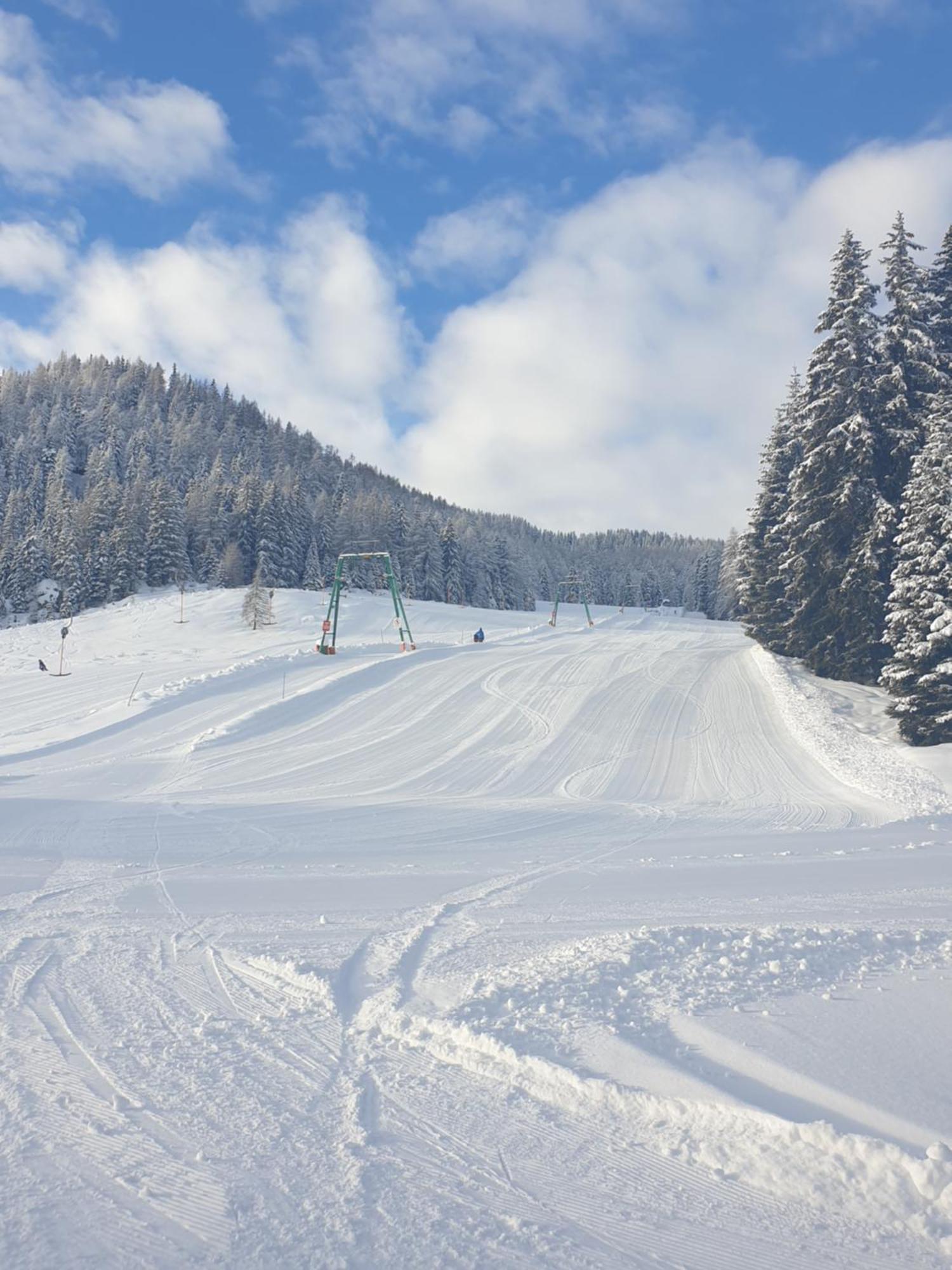 Ferienhaus Schaefer - Apartments - Wintersports - Family Holiday - Holiday With Your Dog - Rural & Scenic Flattnitz 外观 照片