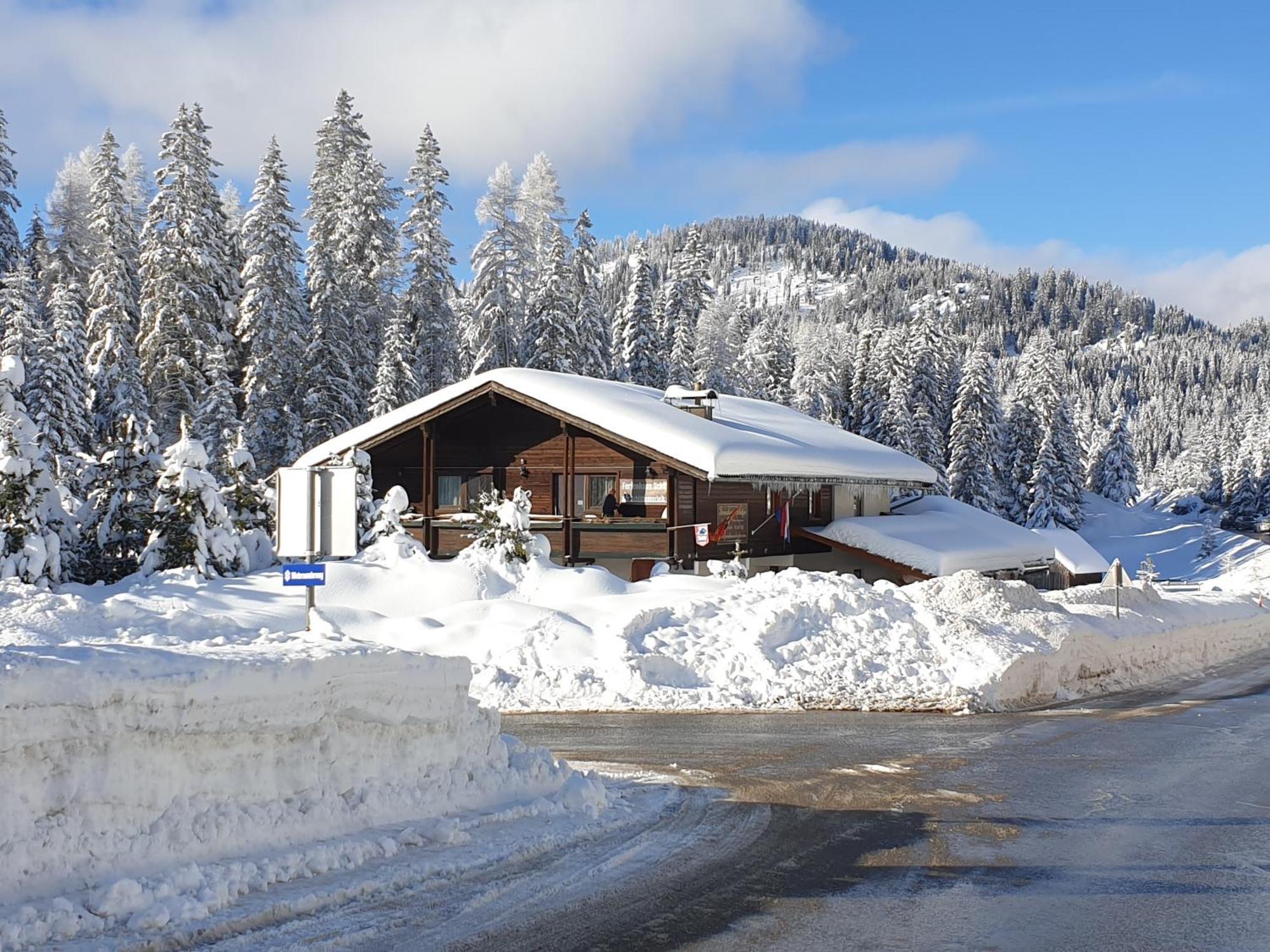 Ferienhaus Schaefer - Apartments - Wintersports - Family Holiday - Holiday With Your Dog - Rural & Scenic Flattnitz 外观 照片