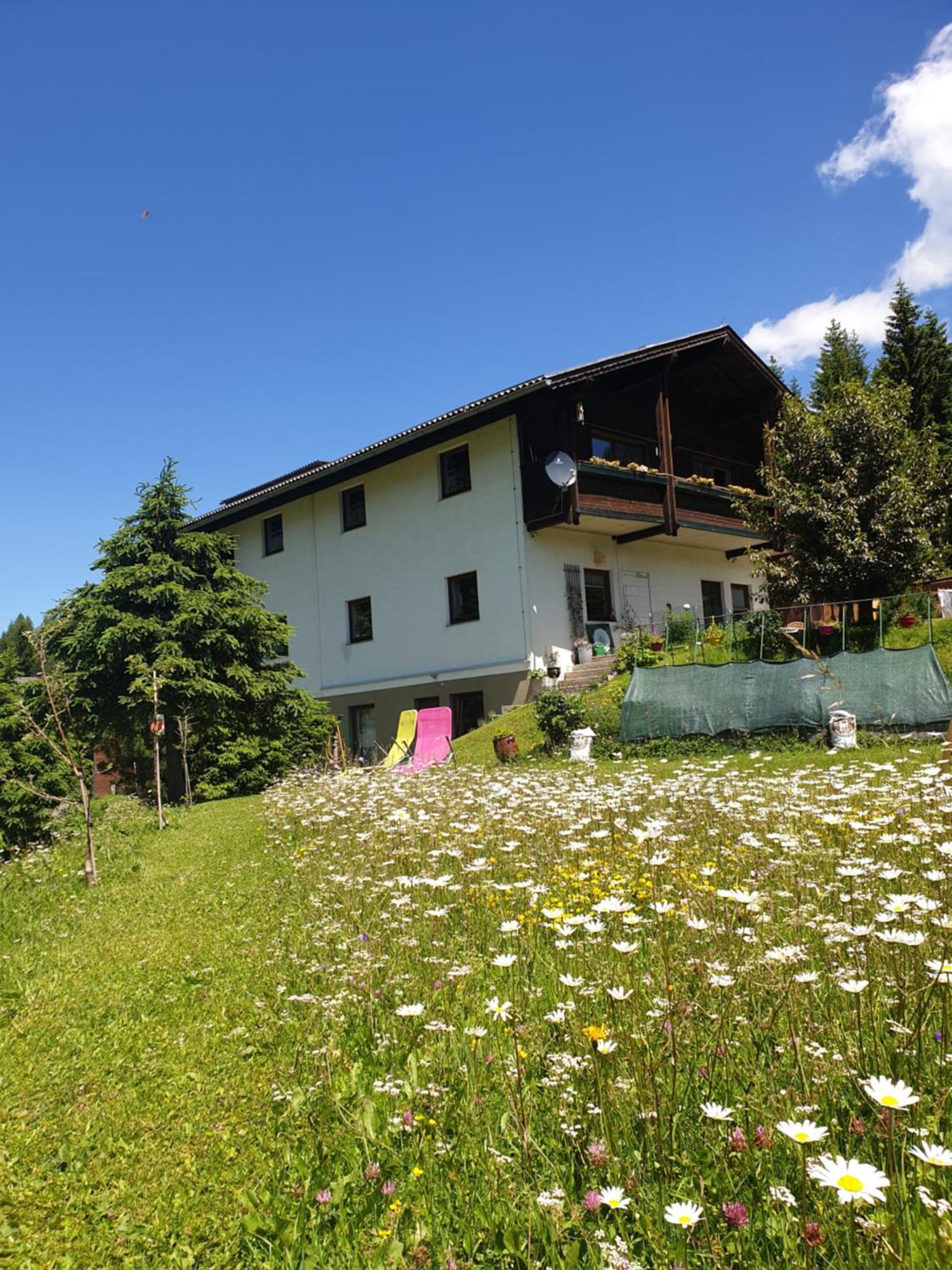 Ferienhaus Schaefer - Apartments - Wintersports - Family Holiday - Holiday With Your Dog - Rural & Scenic Flattnitz 外观 照片