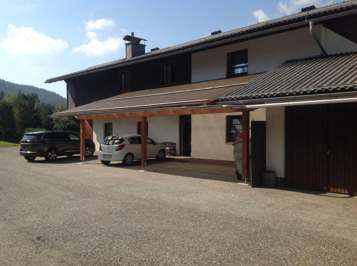 Ferienhaus Schaefer - Apartments - Wintersports - Family Holiday - Holiday With Your Dog - Rural & Scenic Flattnitz 外观 照片