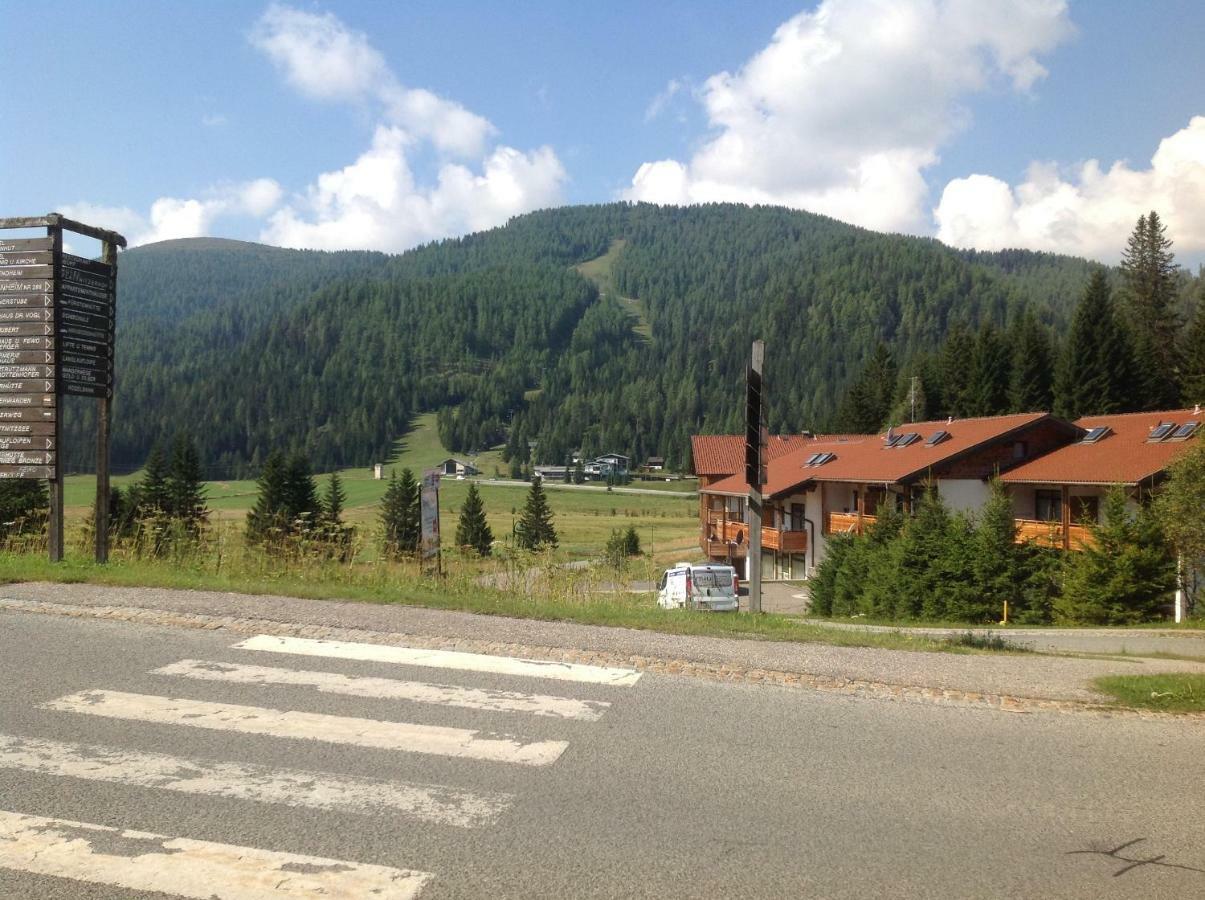Ferienhaus Schaefer - Apartments - Wintersports - Family Holiday - Holiday With Your Dog - Rural & Scenic Flattnitz 外观 照片