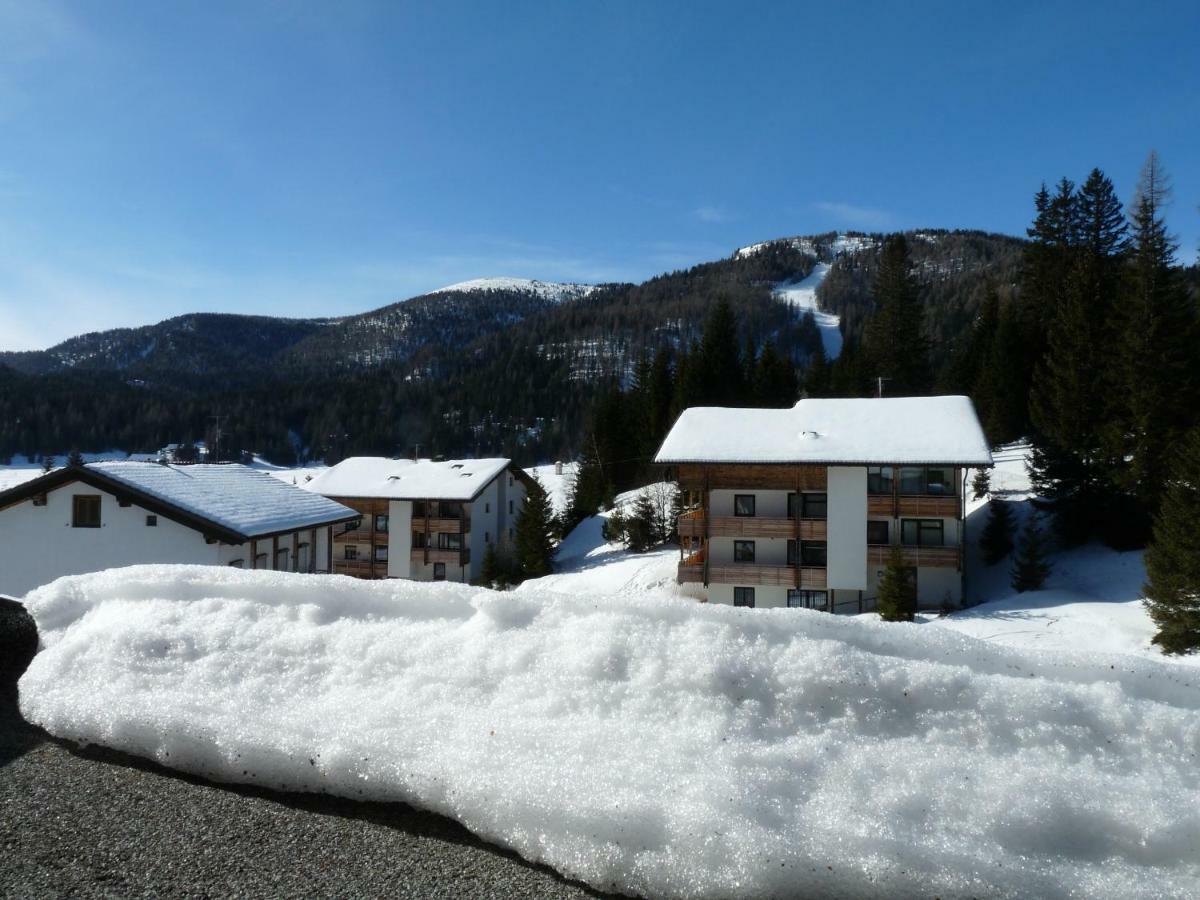 Ferienhaus Schaefer - Apartments - Wintersports - Family Holiday - Holiday With Your Dog - Rural & Scenic Flattnitz 外观 照片